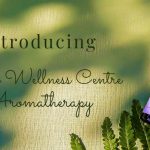 Laura Wellness Centre: harmony and aromatherapy for a clear head